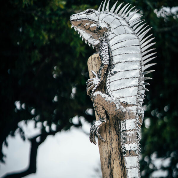 Iguana garden sculpture, unique sculptures for your garden.