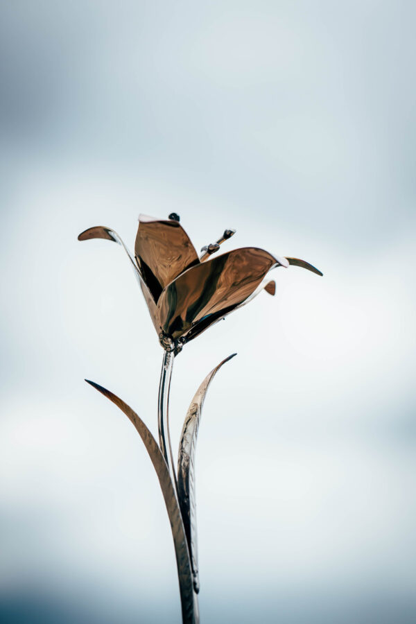 lily head in stianless steel