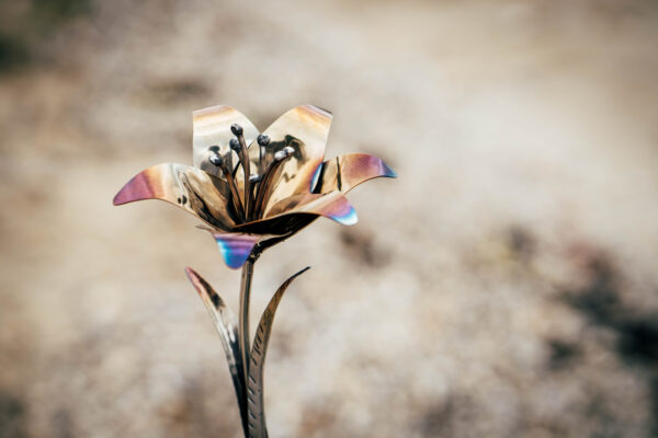 Lily