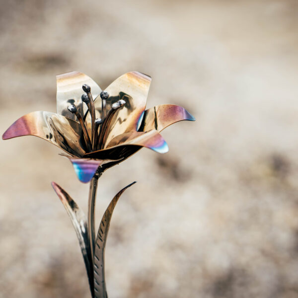 Lily