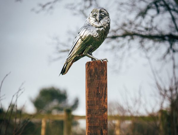 Metal Owl Sculpture