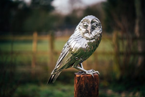 Owl sculpture