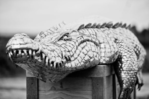 Large Crocodile Garden Sculpture