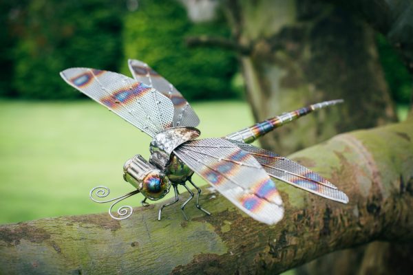 Dragonfly garden sculpture