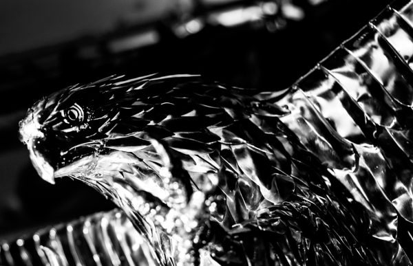 Bald Headed Eagle Garden Sculpture
