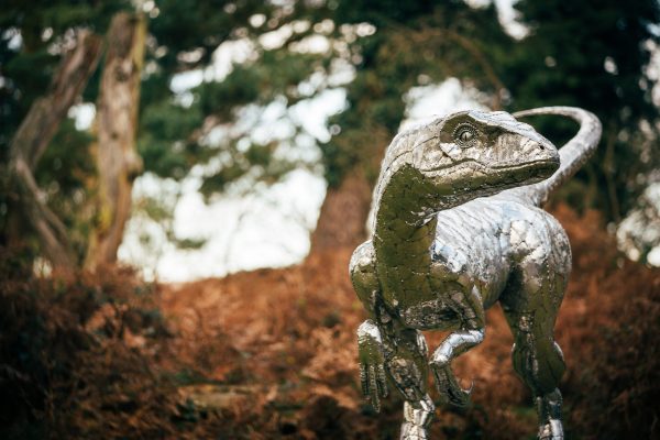 Velociraptor