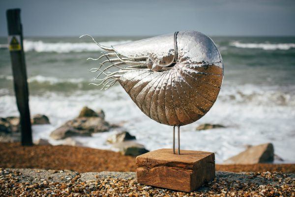 Nautilus Sculpture