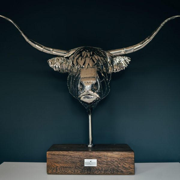 Highland Cow Head