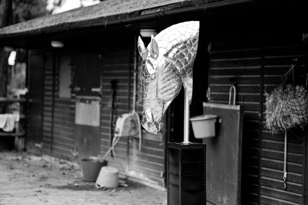 Horses Head  Sculpture