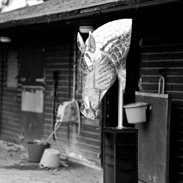 Horses Head  Sculpture