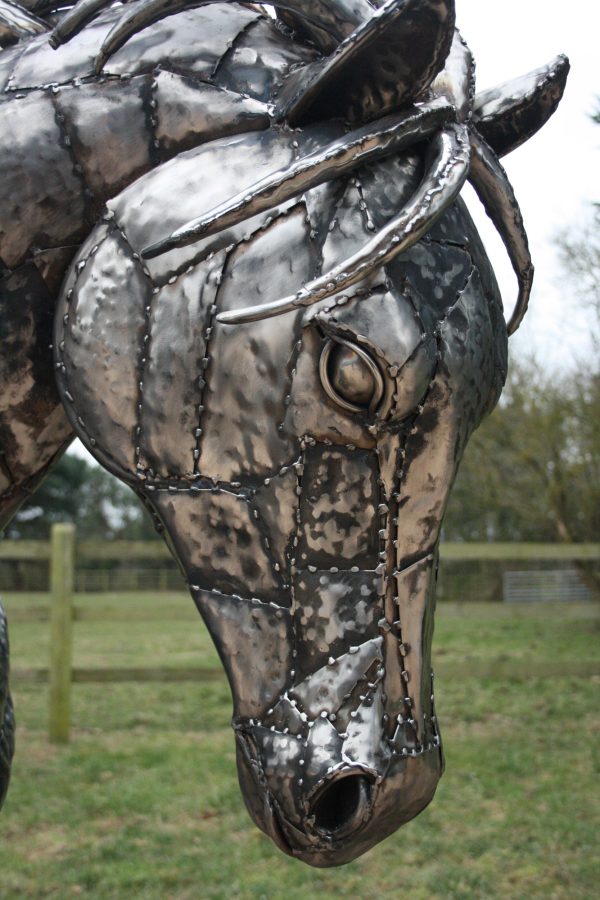 Arabian Horse
