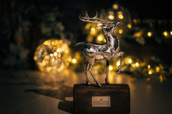 Little Baby Reindeer