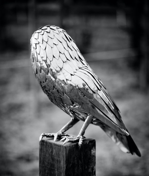 Barn Owl Sculpture