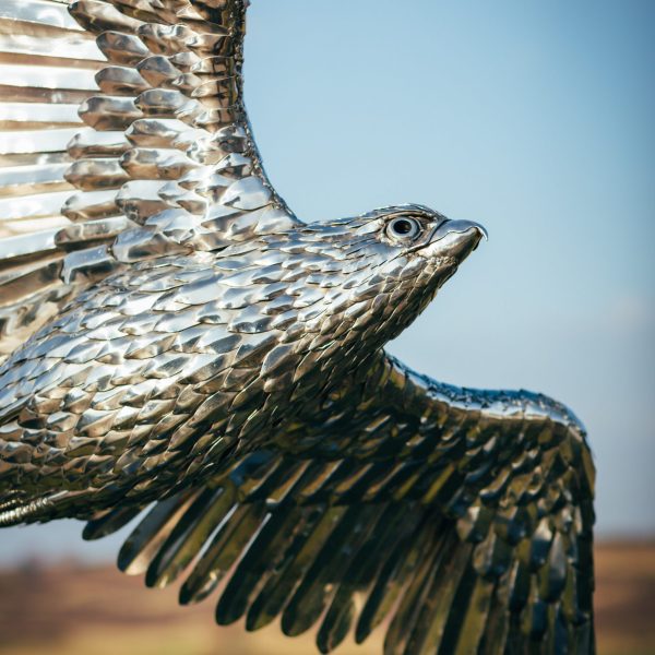 Modern stainless steel peregrine falcon garden ornament.