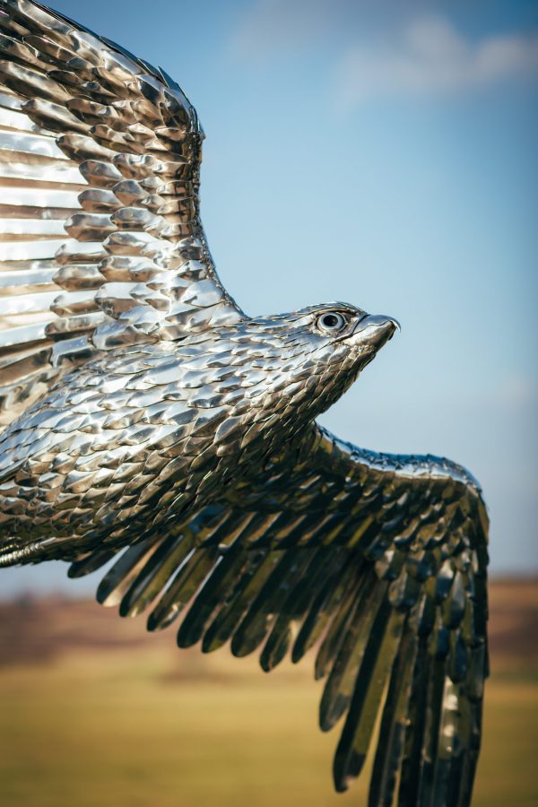 Modern stainless steel peregrine falcon garden ornament.