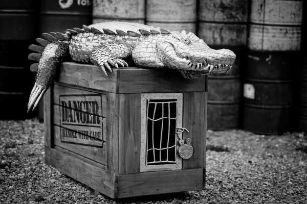 Crocodile on a crate garden sculpture