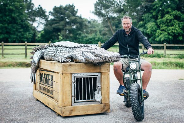 Metal Crocodile sculpture on a box