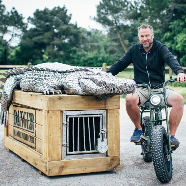 Metal Crocodile sculpture on a box