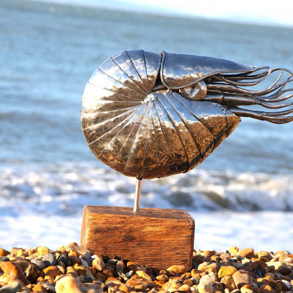 Nautilus sculpture