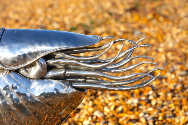 Stainless steel Nautilus sculpture