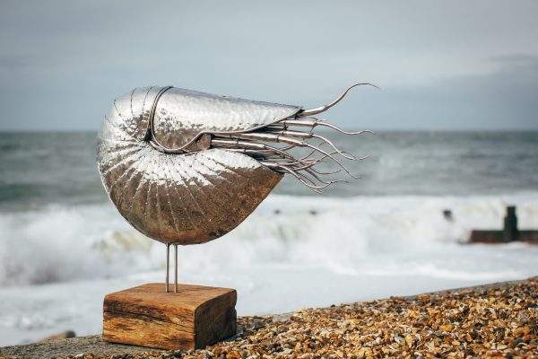Giant Nautilus Sculpture