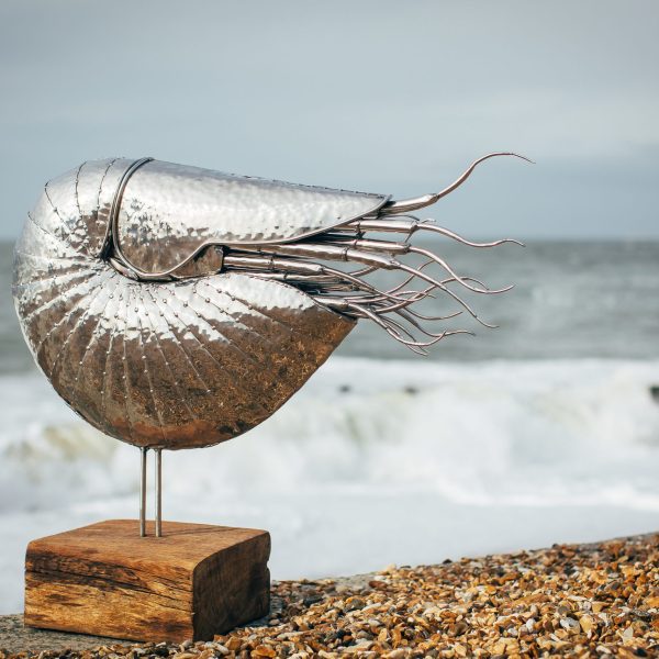 Giant Nautilus Sculpture