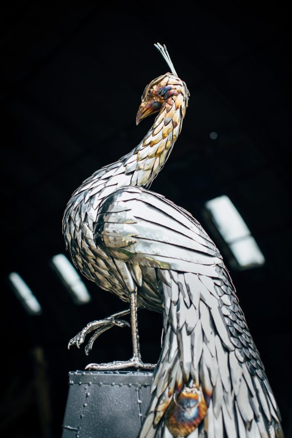 Peacock Garden Sculpture