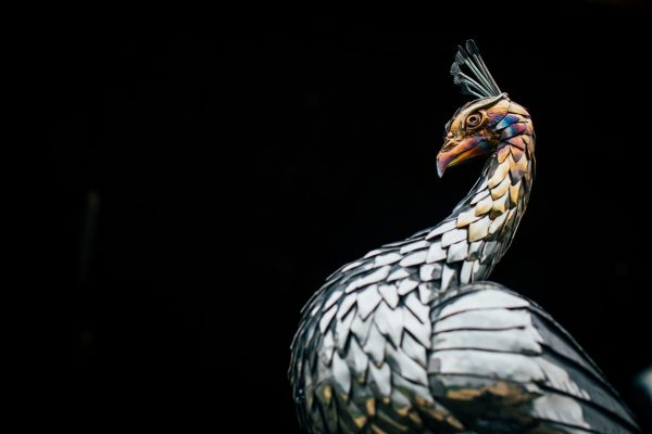 Peacock Garden Sculpture