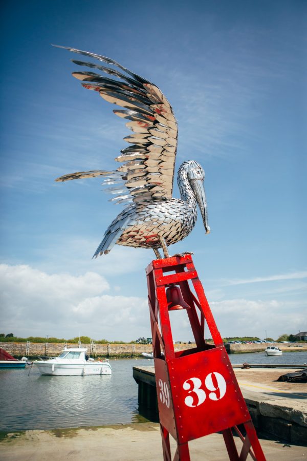 Pelican sculpture