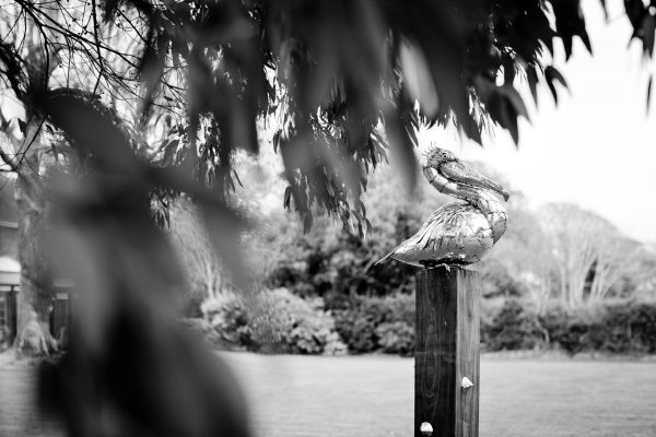 Small Pelican Garden Sculpture