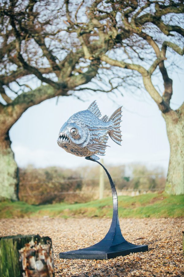 Piranha Fish