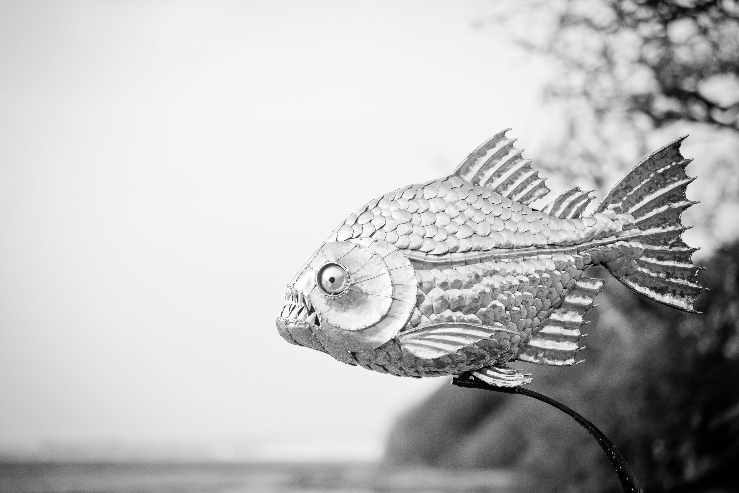 Piranha Fish Garden Sculpture