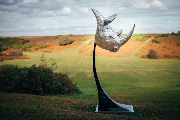 Rhino Head Sculpture