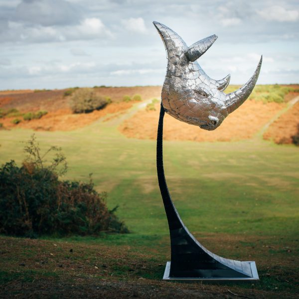Rhino Head Sculpture