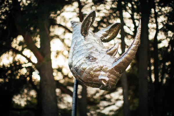 Rhino Head Sculpture