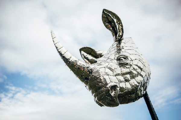 Rhino Head Sculpture