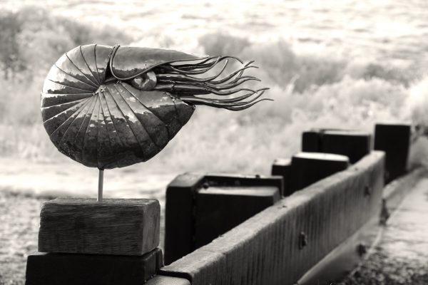 Nautilus sculpture