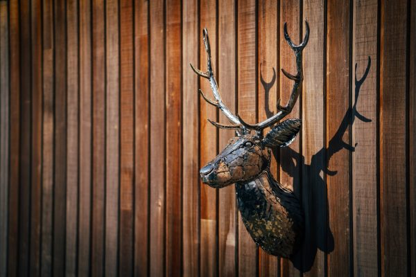 Stags Head