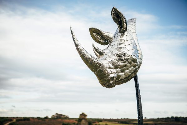 Rhino Head Sculpture