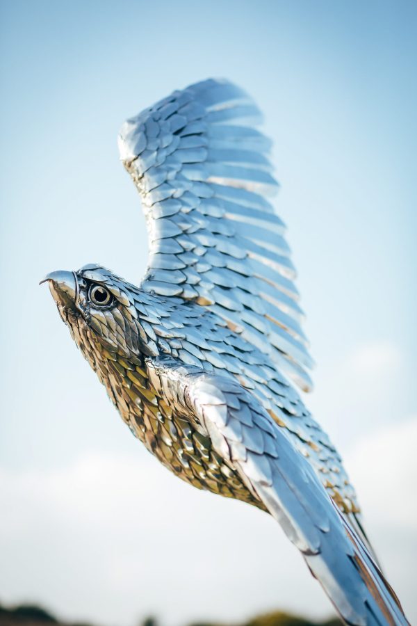 Life-sized or larger than life-sized stainless steel peregrine falcon statue, ideal for outdoor garden decoration.