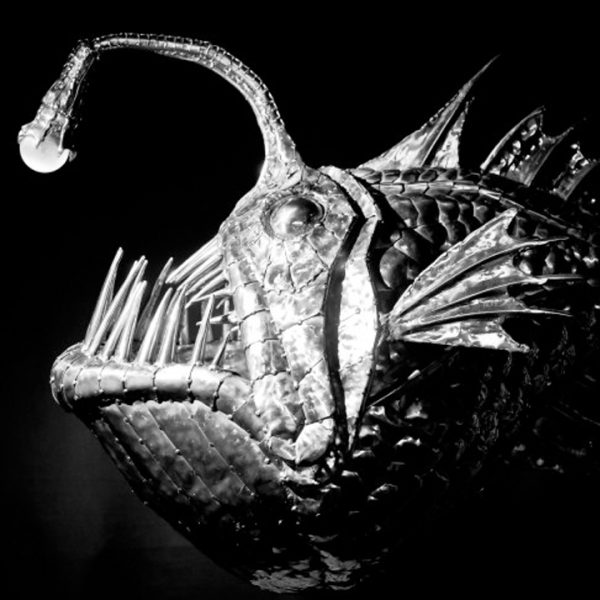 Anglerfish