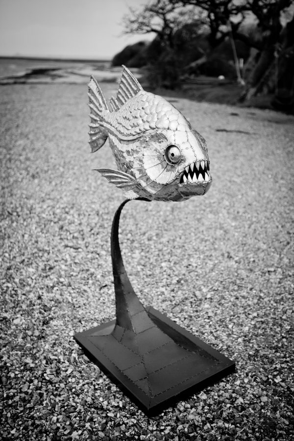 Piranha Fish