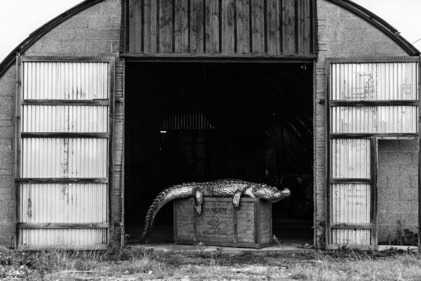 Large Crocodile Garden Sculpture