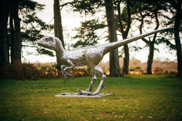 Velociraptor garden Sculpture. A unique sculpture for your homes or garden