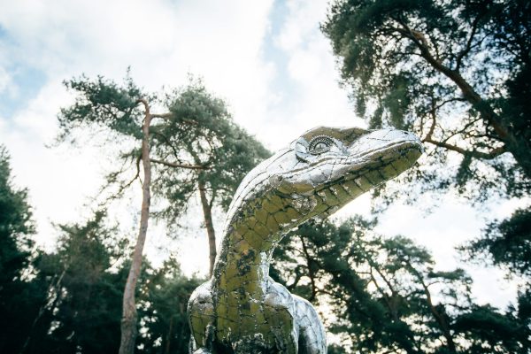Velociraptor