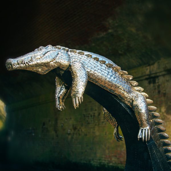Basking Crocodile