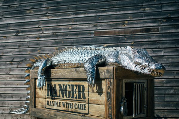 Crocodile on a box