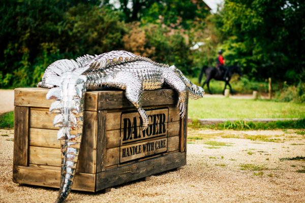 Crocodile on a box