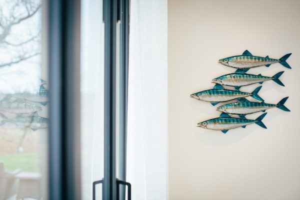 Shoal of Mackerel