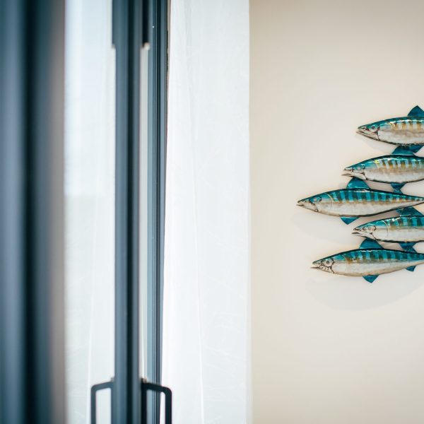 Shoal of Mackerel